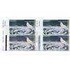 Image 1 : Rolic Technologies Ltd., ND (ca. 2010), Trio of Advertising Notes