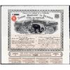 Image 1 : Ivory Coast Goldfields, Limited Stock Certificate.