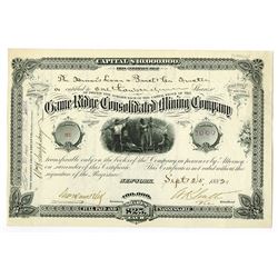 Game Ridge Consolidated Mining Co., 1882 Issued Stock Certificate