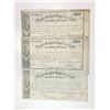 Image 1 : Nevada Freehold Properties Trust, 1869 Uncut £2 Bond with Coupon of Revision Pair.