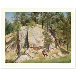 Cleft Rock by Nelson, William