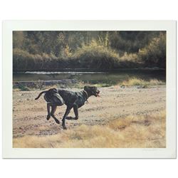 On the Scent by Nelson, William