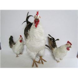 Large White Chicken and 2 Chick Figurines- Real Fathers