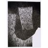 Image 1 : Walter Feldman, Masada 3, Woodcut