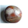 Image 1 : Natural Healing Colorful Petrified Wood 990 Carats