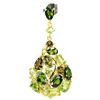 Image 1 : NATURAL CH-DIOPSIDE PERIDOT TOURMALINE Pendant
