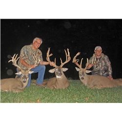 TA - 9 Ohio Whitetail with Briarwood Lodge