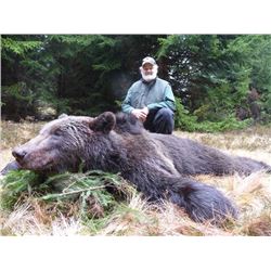 TA - 10 European Brown Bear Hunt with Hunt In Europe