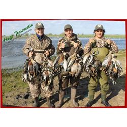 TA - 13 HP Wingshooting Adventures