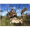 Image 4 : TA - 15 Argentina Big Game 5 days 3 hunters Cantena Safaris Argentina