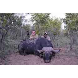 TA - 17 MOZAMBIQUE BUFFALO SAFARI 2018