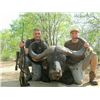 Image 3 : TA - 17 MOZAMBIQUE BUFFALO SAFARI 2018