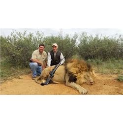 TA - 19 MOZAMBIQUE LION SAFARI 2018