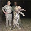 Image 1 : TA- 21 MOZAMBIQUE LEOPARD SAFARI 2018