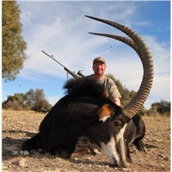 South Africa Sable and Gemsbok hunt with Jannie Otto