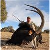 Image 1 : South Africa Sable and Gemsbok hunt with Jannie Otto