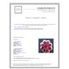 Image 3 : 14.96ct Ruby 14K White Gold Ring