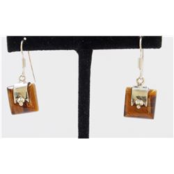 5.42gm Silver & Natural gemstone Earrings