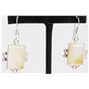 Image 1 : 11.91gm Silver & Natural gemstone Earrings