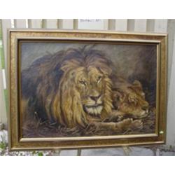LIONS - Oil Painting on Canvas - Uns