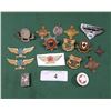 Image 1 : 16 PCS ASSORTED BADGES & PINS