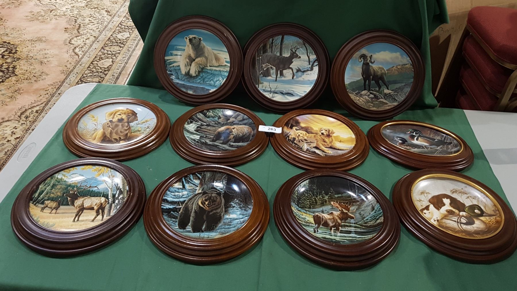 LOT OF 11 FRAMED WILDLIFE COLLECTOR PLATES