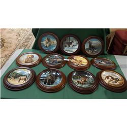 LOT OF 11 FRAMED WILDLIFE COLLECTOR PLATES