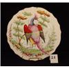 Image 2 : Lot of 4 Early BIRD of PARADISE Plates 