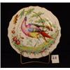 Image 3 : Lot of 4 Early BIRD of PARADISE Plates 