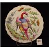 Image 4 : Lot of 4 Early BIRD of PARADISE Plates 