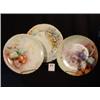 Image 1 : Lot of 3 Hand Painted Plates
