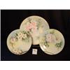 Image 1 : Lot of 3 HAND PAINTED FLORAL PLATES