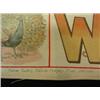 Image 2 : 1903 RAPHAEL TUCK Alphabet Book