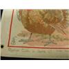 Image 3 : 1903 RAPHAEL TUCK Alphabet Book
