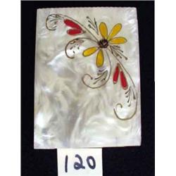 Mother-of-Pearl Photo ALBUM W/Floral