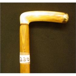Oak CANE w.HORN HANDLE & 14k Monogram