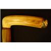 Image 3 : Oak CANE w.HORN HANDLE & 14k Monogram