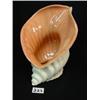 Image 2 : CATALINA STROMBUS SHELL Vase 7 1/2"