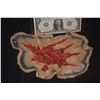 Image 1 : COLD BLOODED UNUSED SILICONE BOMB BLAST SHRAPNEL APPLIANCE 2