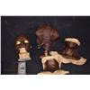 Image 2 : STAR TREK ALIEN MADELINE SCREEN USED HEAD WITH APPLIANCES TO COMPLETE DISPLAY ACADAMY AWARD WINNING!