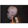 Image 2 : STAR TREK ALIEN SCREEN USED FULL HEAD MASK SILICONE