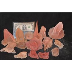 ZZ-CLEARANCE GRIMM CREATURE DEMON WEREWOLF UNUSED EARS LOT 8