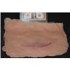 Image 1 : ZZ-CLEARANCE SILICONE ABDOMINAL GASH APPLIANCE 1