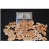 Image 1 : ZZ-CLEARANCE GRIMM CREATURE DEMON WEREWOLF UNUSED EARS LOT 6