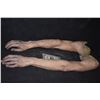 Image 1 : SILICONE ARMS MATCHED PAIR