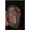 Image 2 : BISECTED ZOMBIE CADAVER HEAD SILICONE