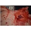 Image 2 : SILCONE BLOODY CHEST WITH GORE