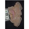 Image 1 : ZZ-CLEARANCE SLIT THROAT SILICONE APPLIANCE