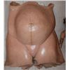 Image 1 : STAR TREK 1 SPOCK & KIRK MOTHER PREGNANT BELLY