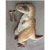 Image 1 : TYRANOSAURUS REX COMPLETE DINOSAUR COSTUME